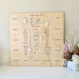 One year of.. photo + milestones board