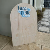 First Birthday photo board (hot air balloon)